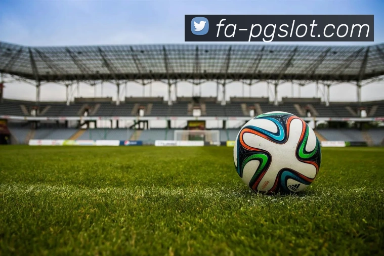 PG娱乐官网平台生态图